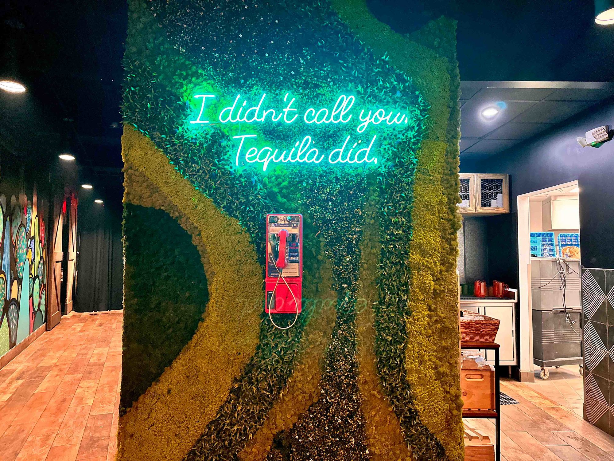 wall with greenery and sign with tequila saying